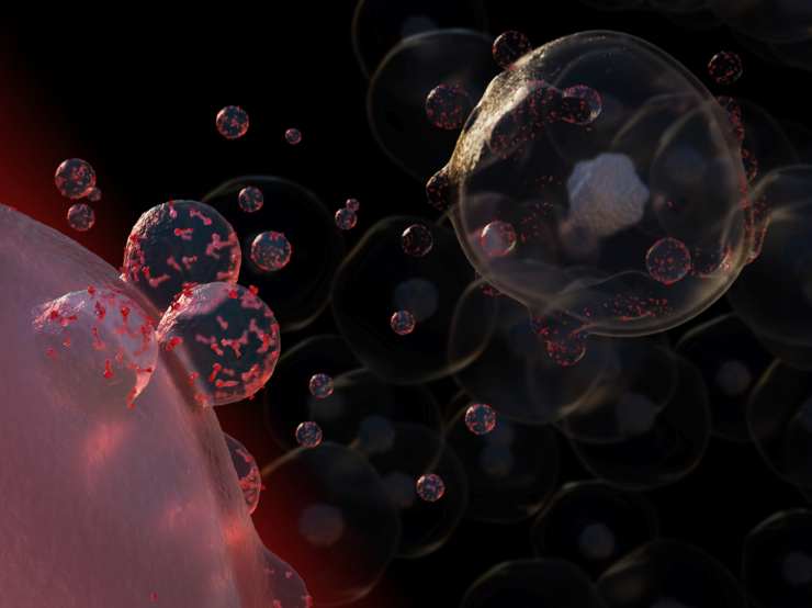 Las burbujas podrían ser la respuesta para mejorar los tratamientos contra el cáncer