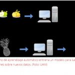 DESARROLLAN NUEVAS TÉCNICAS DE APRENDIZAJE AUTOMÁTICO