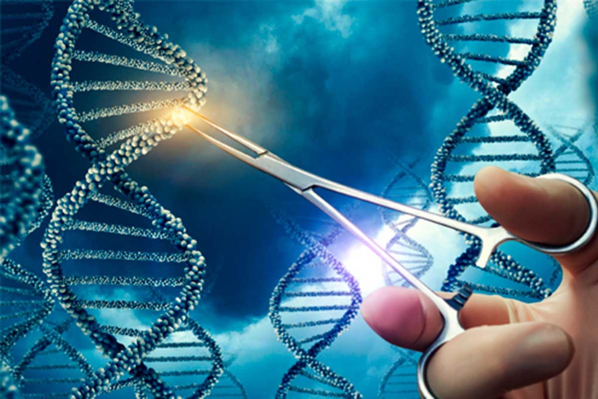 LA EDICIÓN GENÉTICA CRISPR PODRÁ TRATAR MUCHAS MÁS ENFERMEDADES