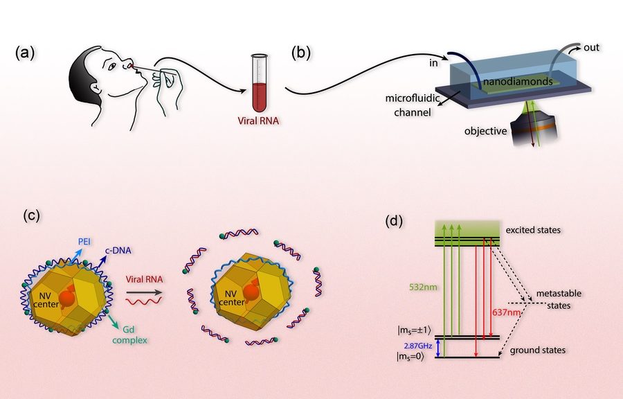 SENSOR BASADO EN FÍSICA CUÁNTICA PODRÍA DETECTAR EL VIRUS SARS-COV-2 INCLUYENDO LAS NUEVAS VARIANTES