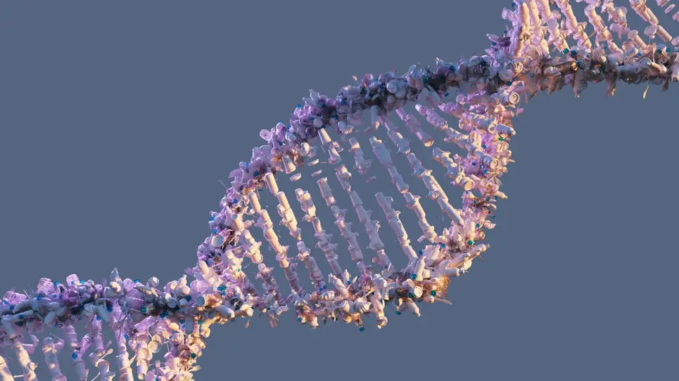 El genoma humano se ha descifrado por completo tras 20 años de lagunas
