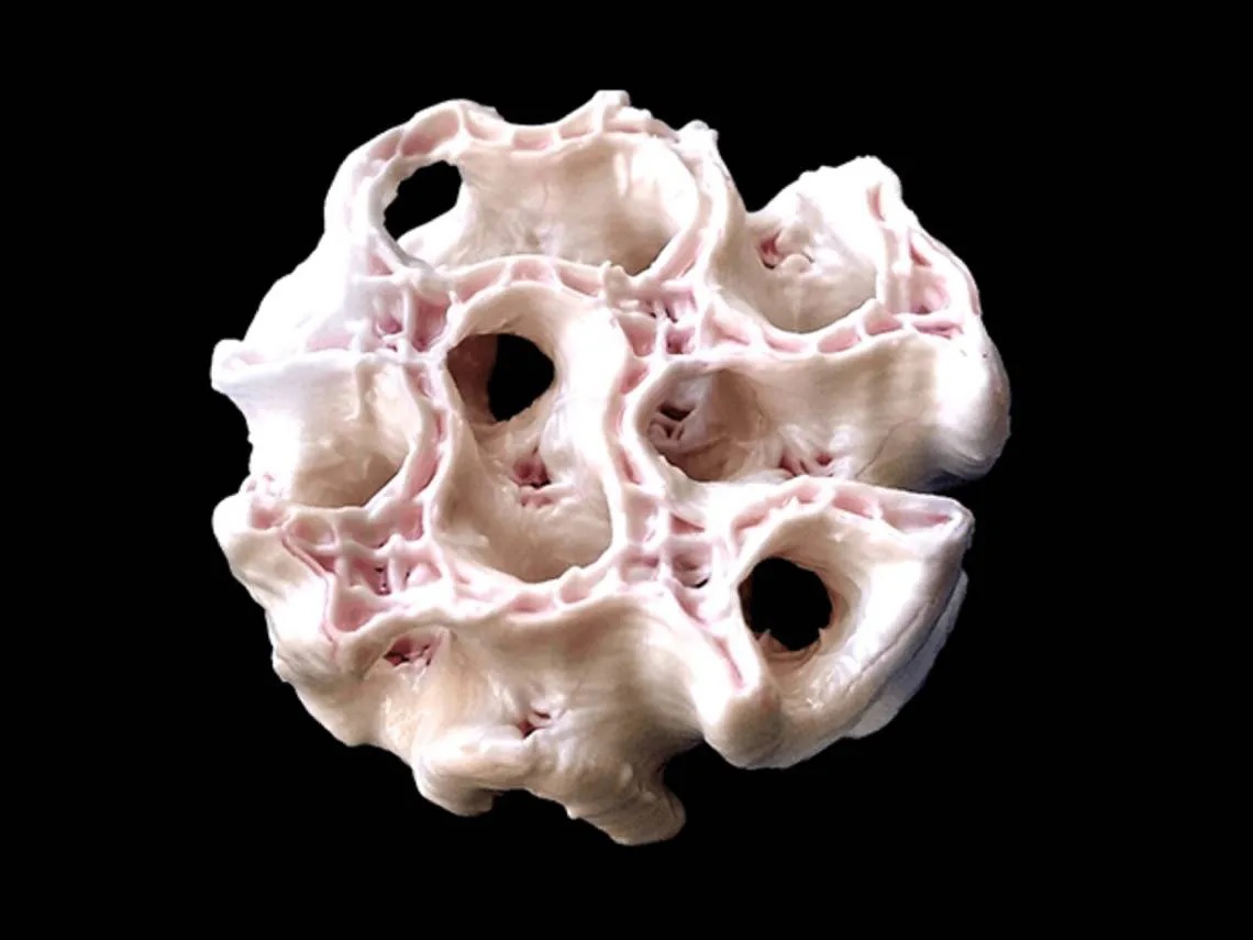 Huesos impresos en 3D