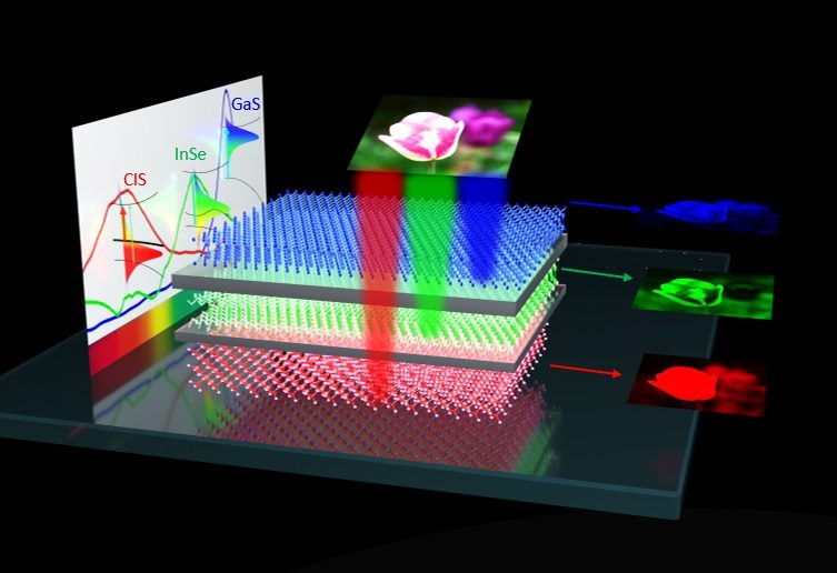Dispositivo neuromórfico con nanotecnología dota a la microrrobótica de visión en color