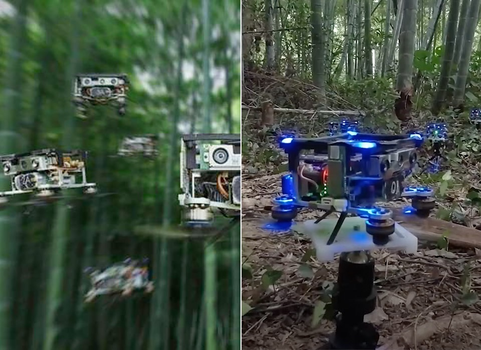 Programan enjambre de drones para navegar de forma autónoma a través de un bosque