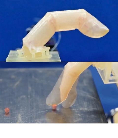 Cultivan piel viva en un dedo robótico que puede curarse cuando se corta