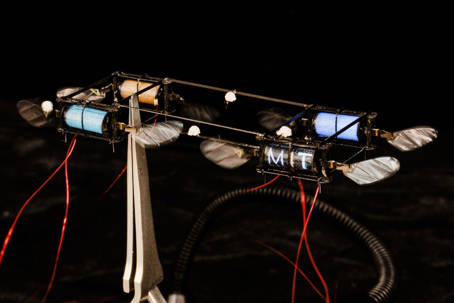 En el MIT crean luciérnagas robóticas