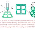 Crean madera directamente en una fábrica