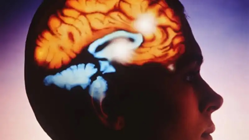 Inteligencia artificial ayuda a detectar trastornos mentales en menor tiempo