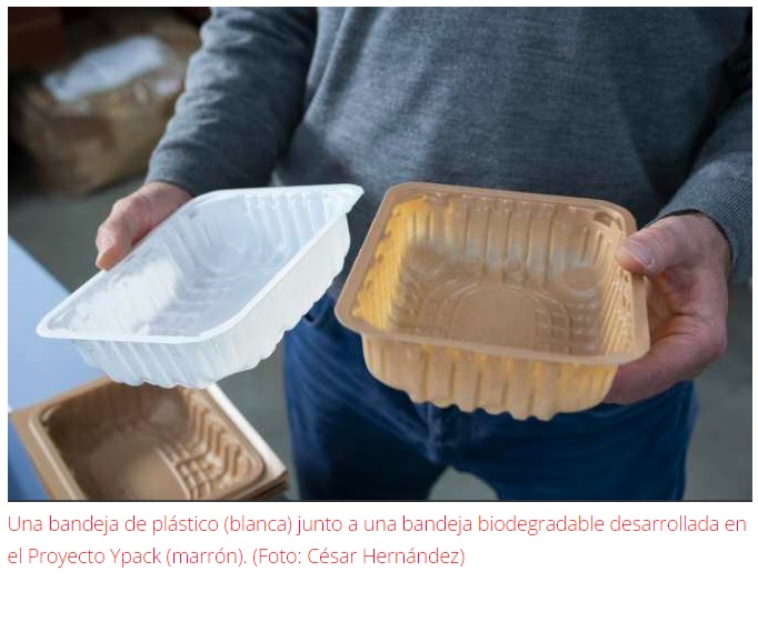 Crean envases biodegradables y sostenibles hechos de cáscaras de almendras y suero de queso