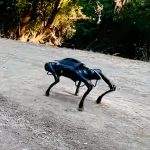 Perro robot se enseña a sí mismo a caminar al aire libre en menos de 20 minutos