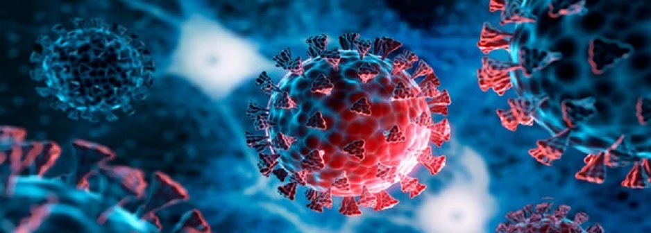 Han identificado anticuerpos que pueden hacer innecesarias las vacunas contra el coronavirus