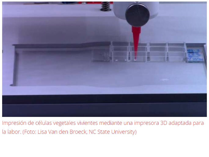 Bioimpresión 3D de células vegetales vivientes