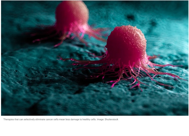 Nanomaterial logra reducir las células madre cancerosas en ratas