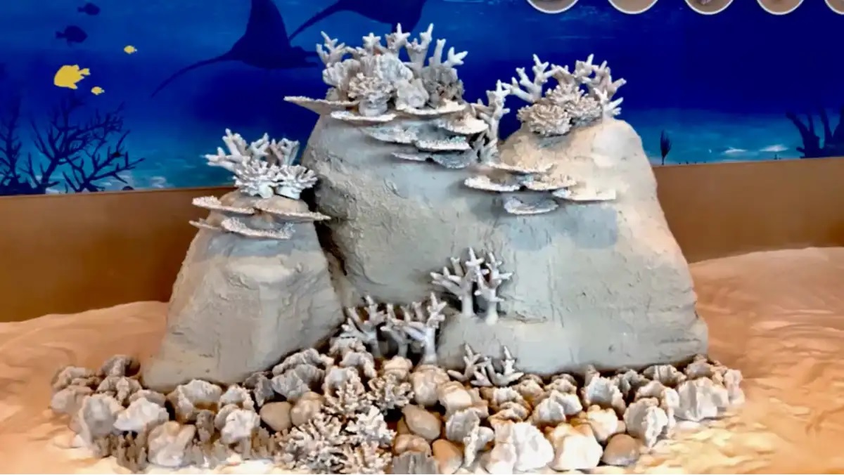 La impresión 3D podría ser clave para salvar los arrecifes de coral