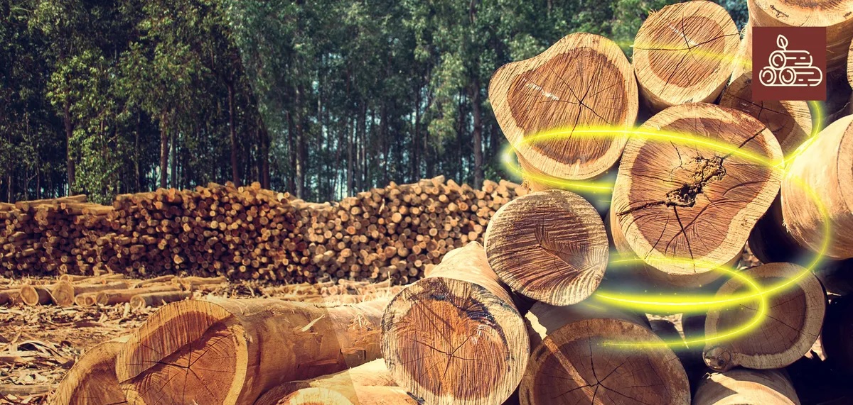 Ahora podemos crear madera sin cortar un solo árbol