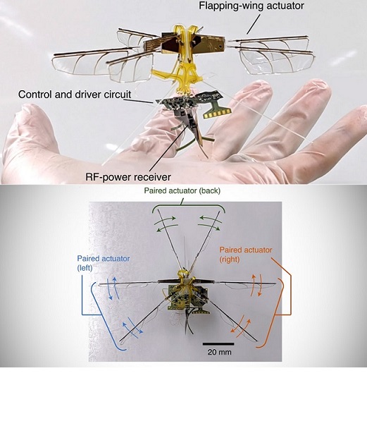 Toyota desarrolla insecto robot con capacidades de carga inalámbrica