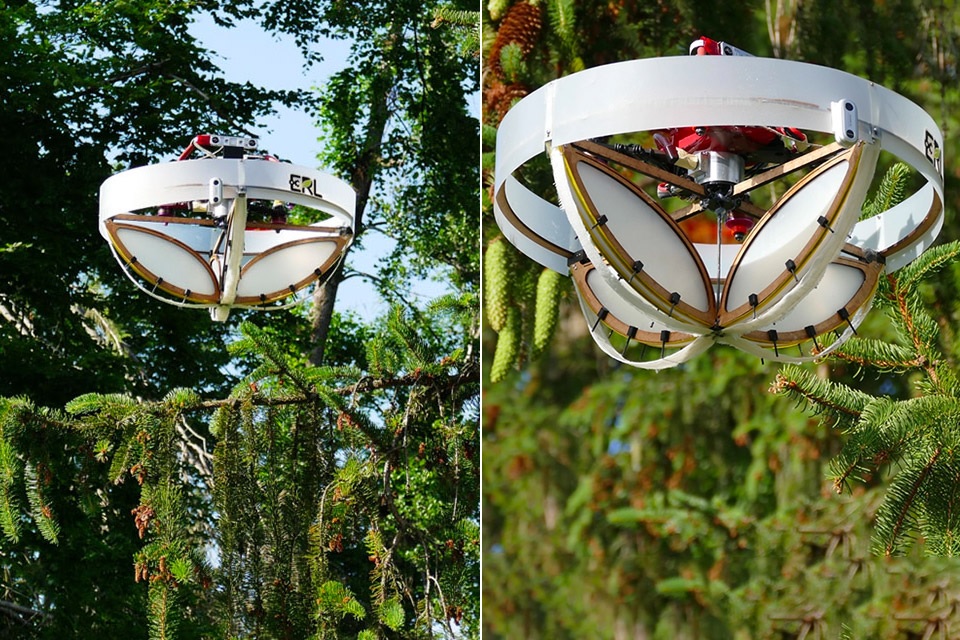 Crean dron especializado capaz de aterrizar de forma autónoma en las ramas de los árboles
