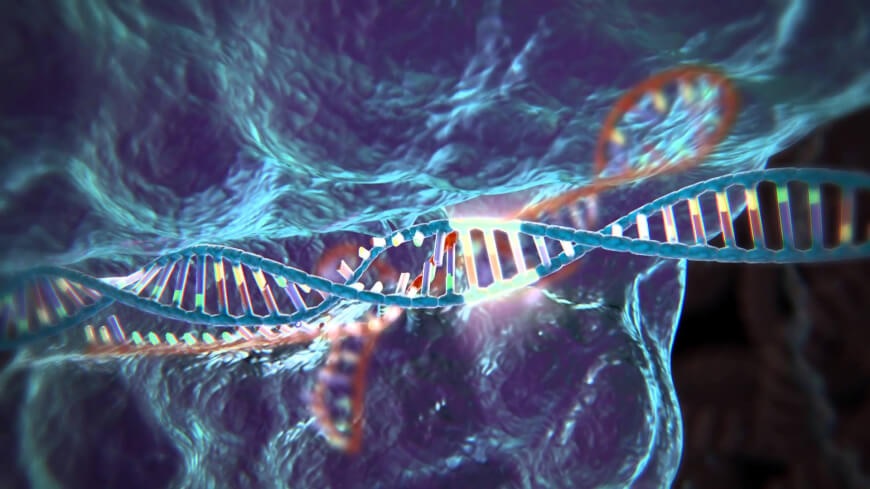 Nueva técnica de edición genética para curar una enfermedad mortal