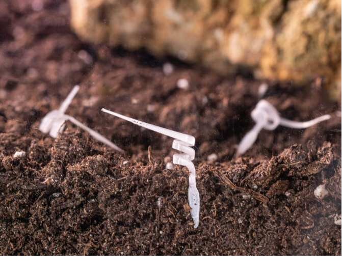 Crean semilla robótica biodegradable