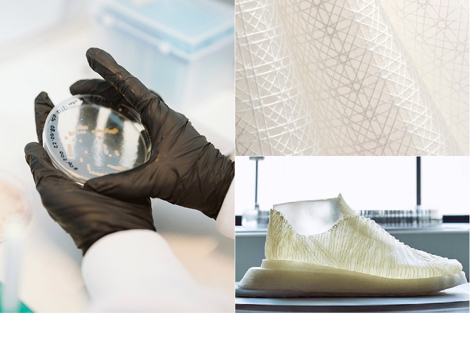 Tela de biomaterial hecha con bacterias podría reemplazar al cuero