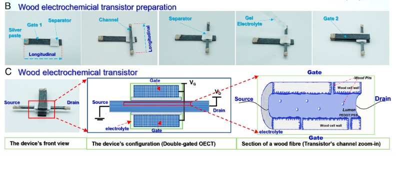 Crean el primer transistor de madera del mundo