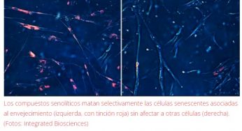 Inteligencia artificial busca compuestos antienvejecimiento