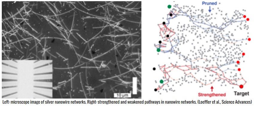 Redes de nanocables de plata parecen imitar las capacidades de memoria y aprendizaje del cerebro humano
