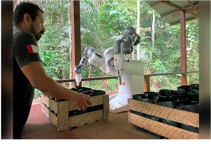 Robot ayuda a reforestar la Amazonía