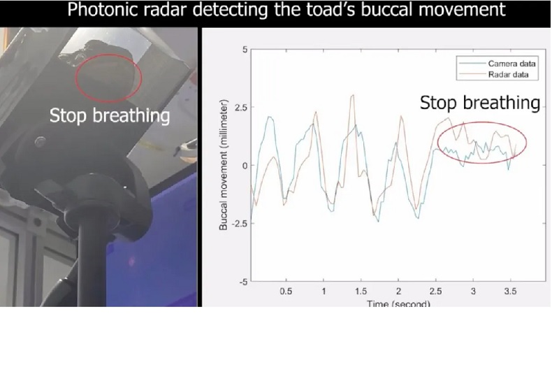 Dispositivo para monitorear de forma remota su respiración