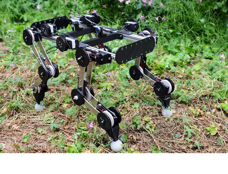 Crean perro robot de inspiración biológica