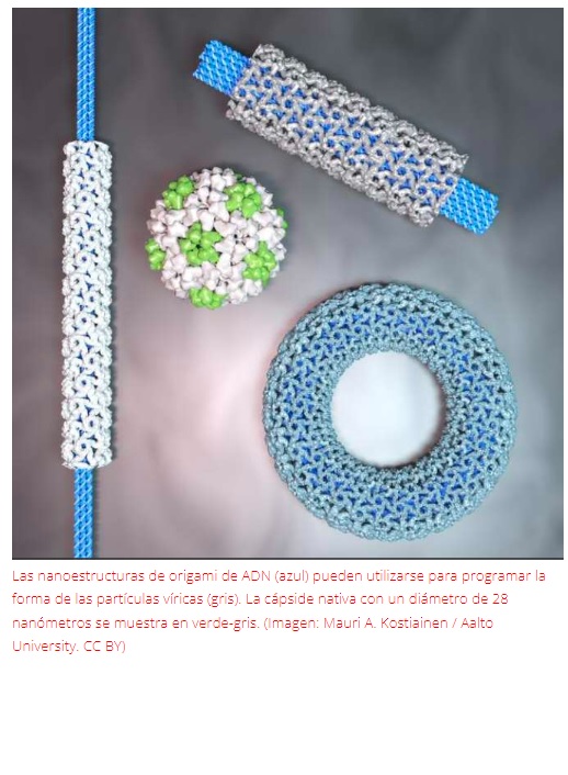 Utilizan proteínas de virus para fabricación fácil de nanoestructuras