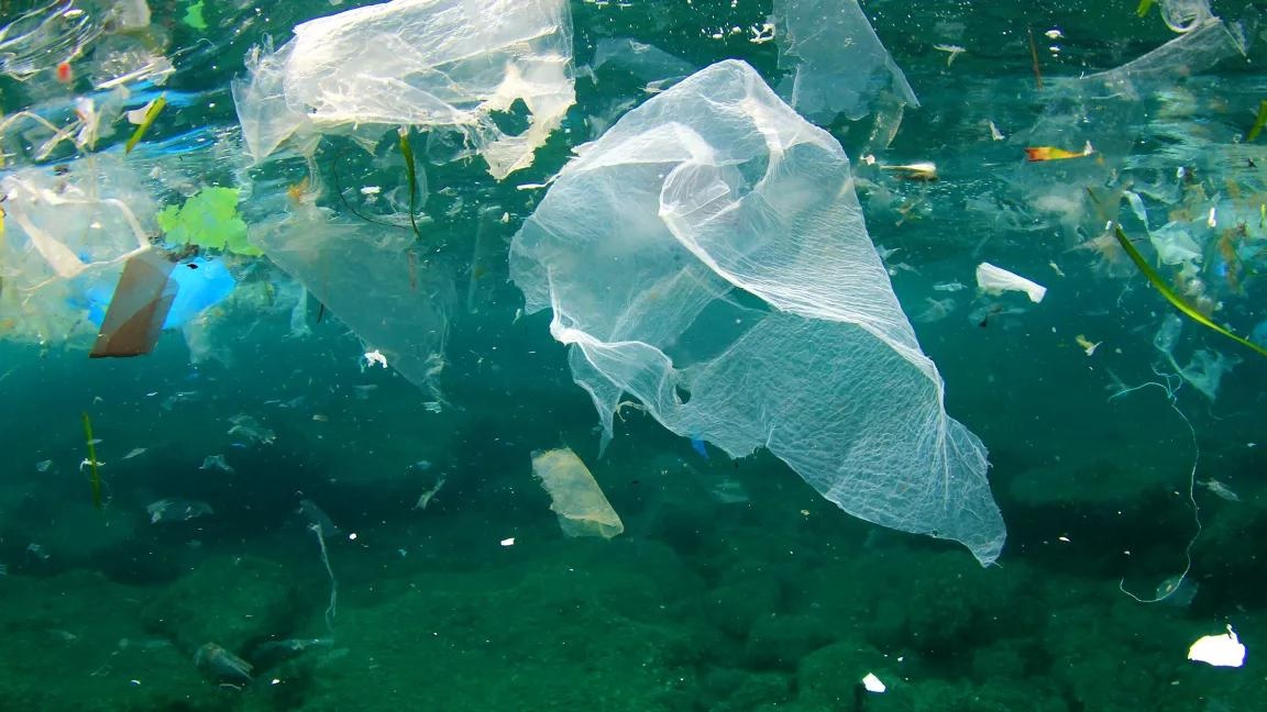 Bacteria manipulada genéticamente descompone el plástico del mar