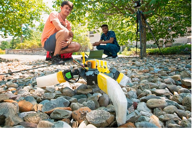Construyen tortuga marina robótica