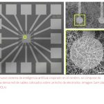 Copian el cerebro humano para lograr una inteligencia artificial más inteligente