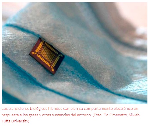 Crean transistor híbrido que combina biología y electrónica