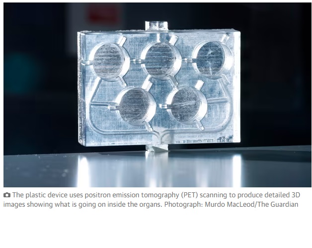 Chip impreso en 3D que muestra la reacción del cuerpo a las drogas podría acabar con las pruebas con animales