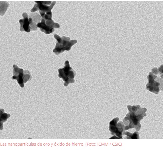 Logran medir con rayos X la temperatura de nanopartículas en células tumorales