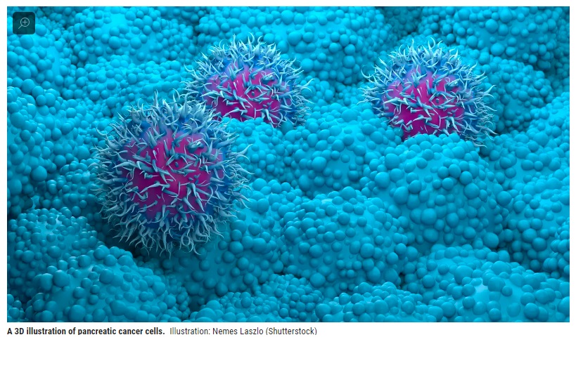 Científicos logran ver el interior de una sola célula cancerosa