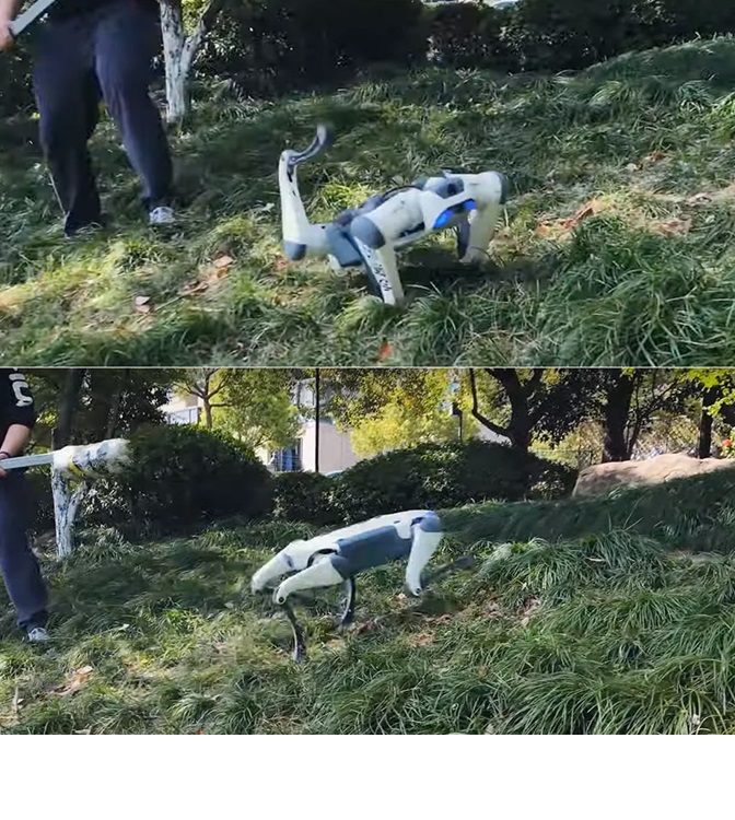 Perro robot puede levantarse rápidamente de cualquier caída